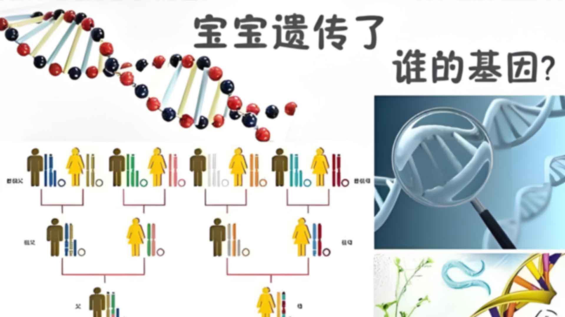 南昌东湖区个人亲子鉴定价格标准是多少